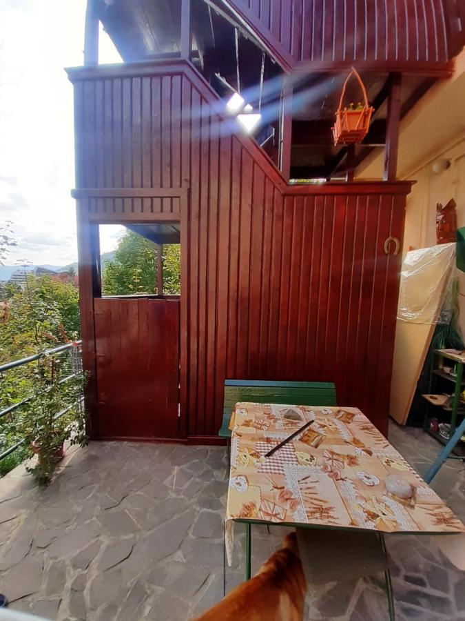 Rustic Regal Apartment Sinaia Exterior photo
