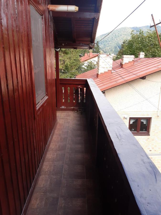 Rustic Regal Apartment Sinaia Exterior photo
