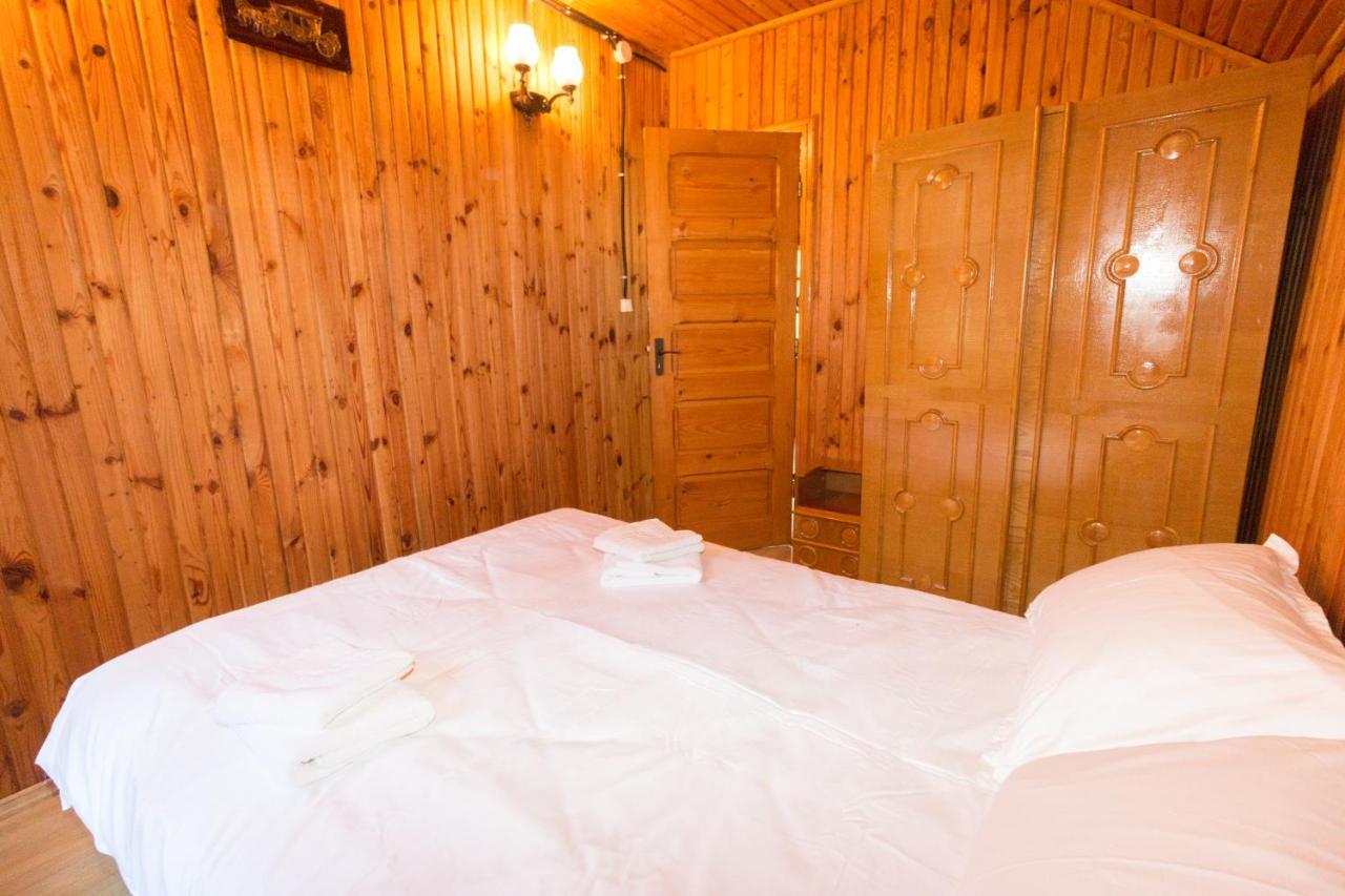 Rustic Regal Apartment Sinaia Exterior photo