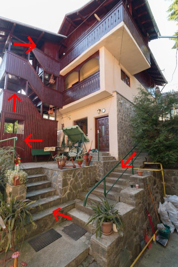 Rustic Regal Apartment Sinaia Exterior photo