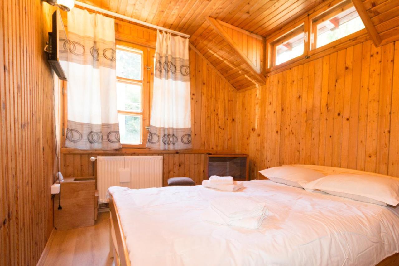 Rustic Regal Apartment Sinaia Exterior photo